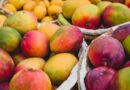 Como tarifaço pode prejudicar exportações brasileiras de suco, café, carne e frutas