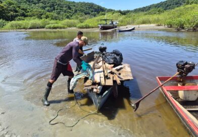Governo de SP inicia mutirões de limpeza de manguezais no litoral paulista