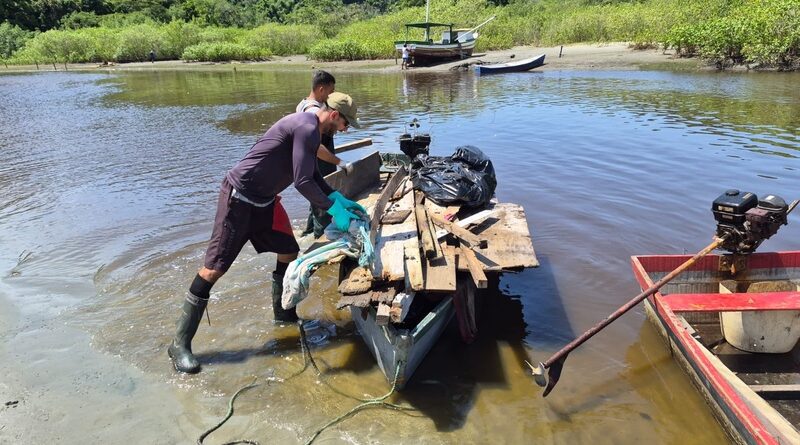 Governo de SP inicia mutirões de limpeza de manguezais no litoral paulista
