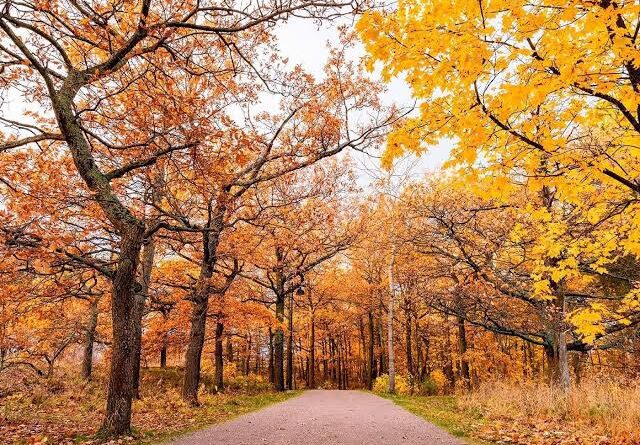 Março chegou: E o Outono já está ai !!