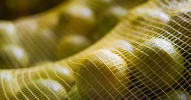 O país que domina o suco de laranja enfrenta um problema silencioso