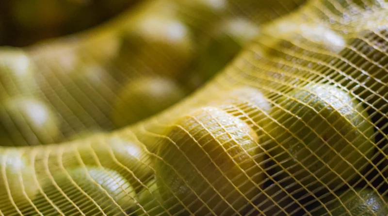 O país que domina o suco de laranja enfrenta um problema silencioso