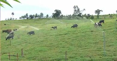 Refloresta SP transforma propriedades no Vale do Paraíba e fortalece política estadual de conservação