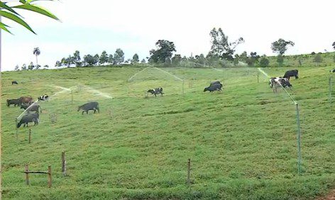 Refloresta SP transforma propriedades no Vale do Paraíba e fortalece política estadual de conservação
