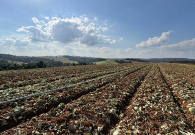 Governo de SP libera 5 milhões para produtores afetados pelas chuvas em Ibiúna e Piedade