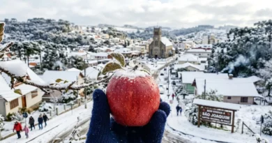 A mais de 1.100 metros de altura, a “Capital da Maçã” chega a -10 °C e fatura R$ 1 bilhão, transformando o frio extremo em ouro