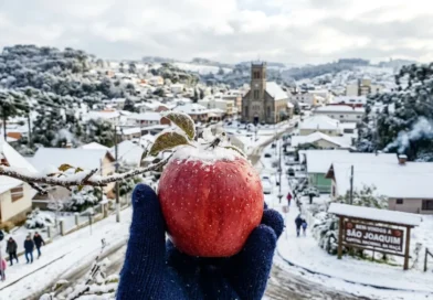 A mais de 1.100 metros de altura, a “Capital da Maçã” chega a -10 °C e fatura R$ 1 bilhão, transformando o frio extremo em ouro