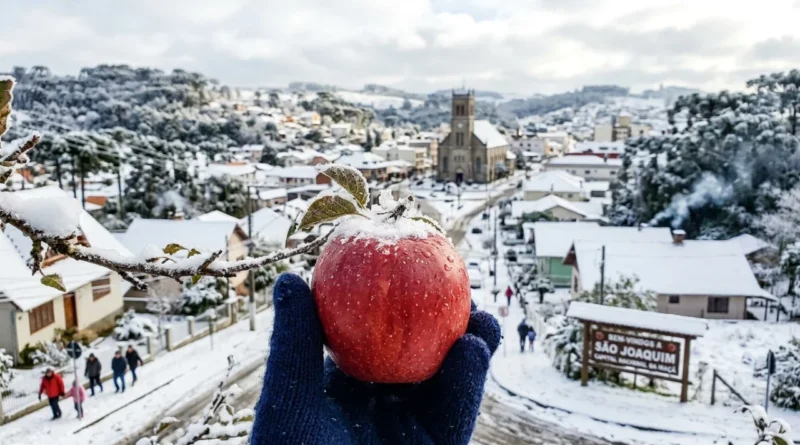A mais de 1.100 metros de altura, a “Capital da Maçã” chega a -10 °C e fatura R$ 1 bilhão, transformando o frio extremo em ouro